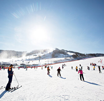 Top 7 Ski Resorts in Korea - Trazy, Korea's #1 Travel Shop