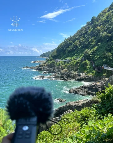 Coastal views in Busan