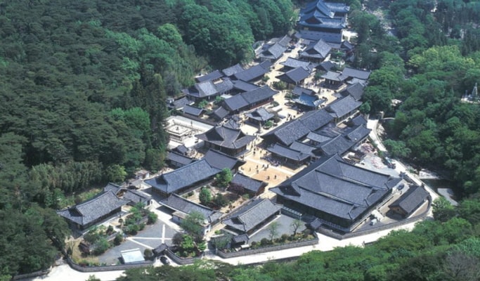 Daegu Chicken & Beer (Chimac) Festival 1 Day Tour (July 27~31) from Busan