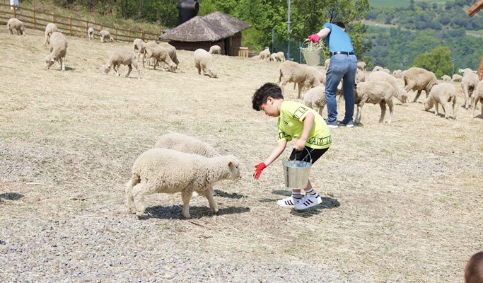 Ocean World Water Park (+ Luge / Sheep Farm) 1 Day Tour (~Aug)
