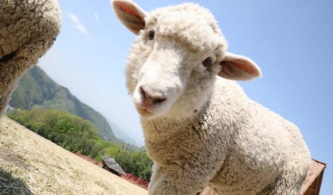 Ocean World Water Park (+ Luge / Sheep Farm) 1 Day Tour (~Aug)