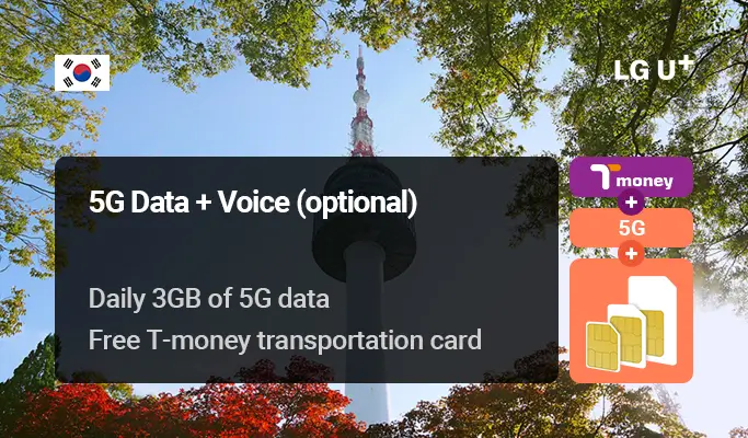 韓国 5G SIMカード＋T-money 交通カード