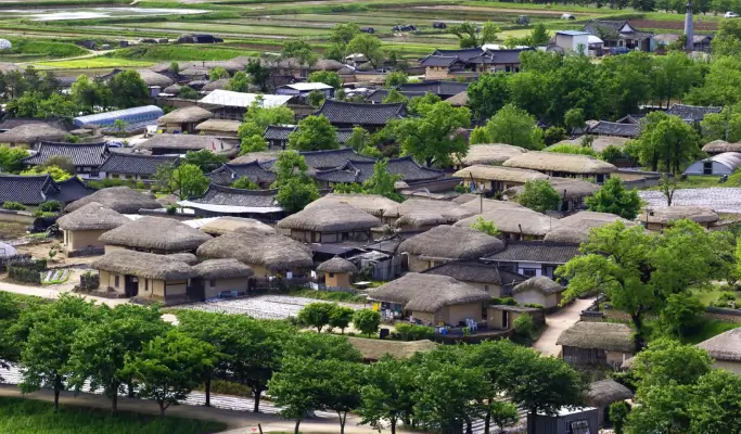 Andong 2D1N Tour from Daegu & Andong: Hahoe Folk Village & UNESCO-listed Bongjeongsa Templestay