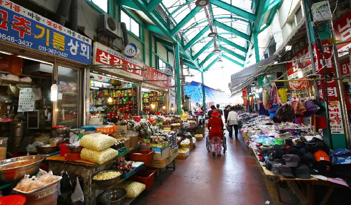 [Trazy Special] 2D1N Gangneung Tour from Busan with Donghae Line Train Tickets (Oct 18~Nov 29)