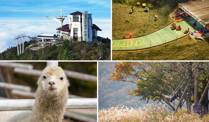 3天2夜 江原道 平昌 & 龍平度假村之旅