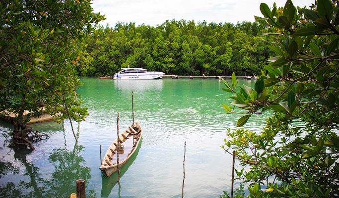 4 Waters Eco Adventure 1 Day Tour (+ Kayaking / Lunch) - from Phuket