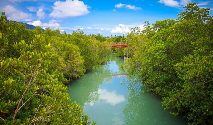 4 Waters Eco Adventure 1 Day Tour (+ Kayaking / Lunch) - from Phuket