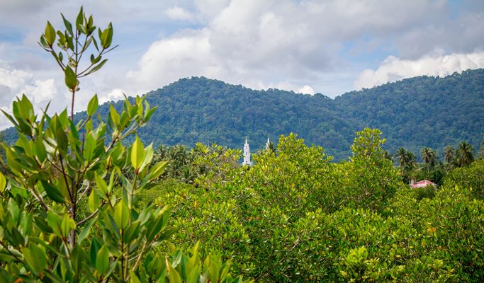 4 Waters Eco Adventure 1 Day Tour (+ Kayaking / Lunch) - from Phuket