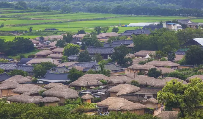 APEC 2025 Gyeongbuk Highlights: 4D3N Nature & Culture Tour from Seoul
