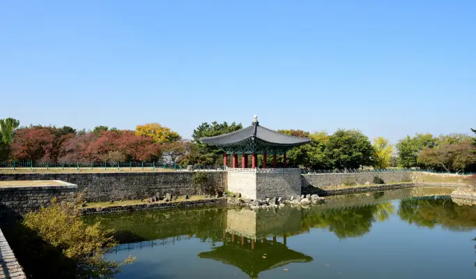 APEC 2025 Gyeongbuk Highlights: 4D3N Nature & Culture Tour from Seoul