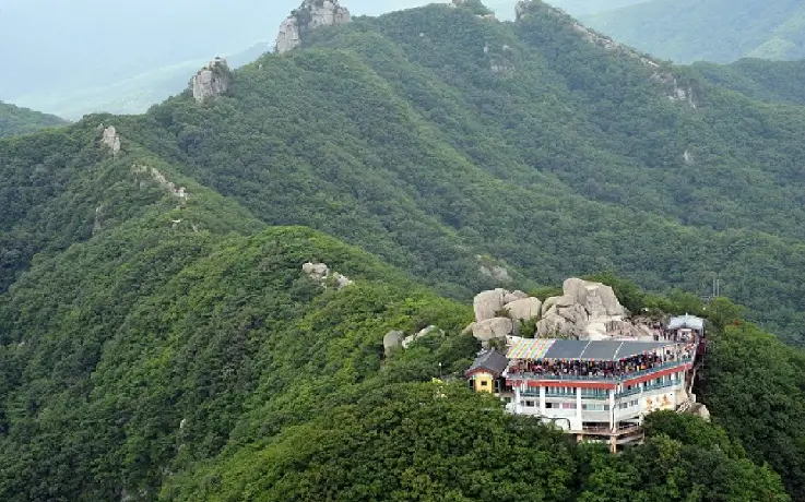 Palgongsan Mountain trail with forest and mountain scenery