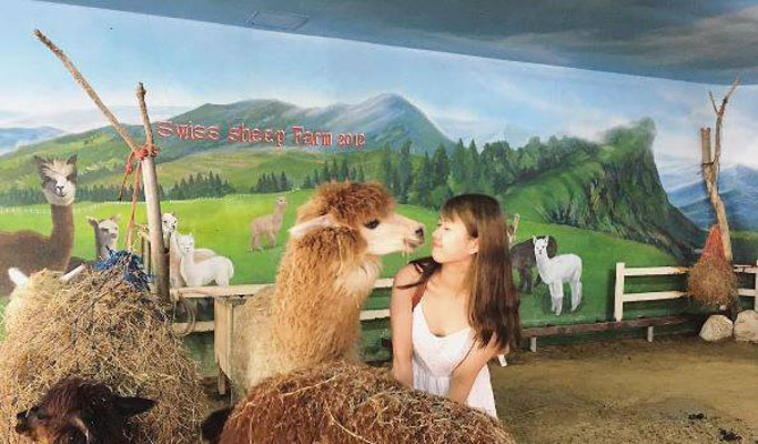 Swiss Sheep Farm Hua Hin Discount Ticket
