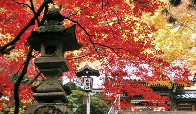 Daiyuzan Line Tengu 1-Day Pass (Rail & Bus)