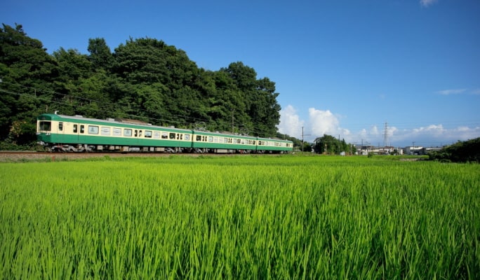 Izuhakone Line Pass (Rail & Bus)