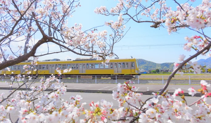 Izuhakone Line Pass (Rail & Bus)