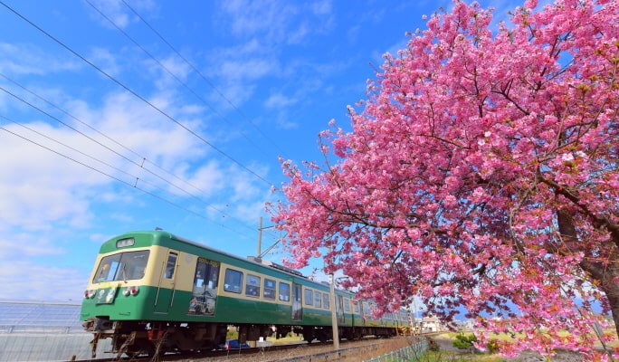 Izuhakone Line Pass (Rail & Bus)