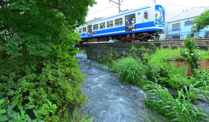 Izuhakone Line Pass (Rail & Bus)