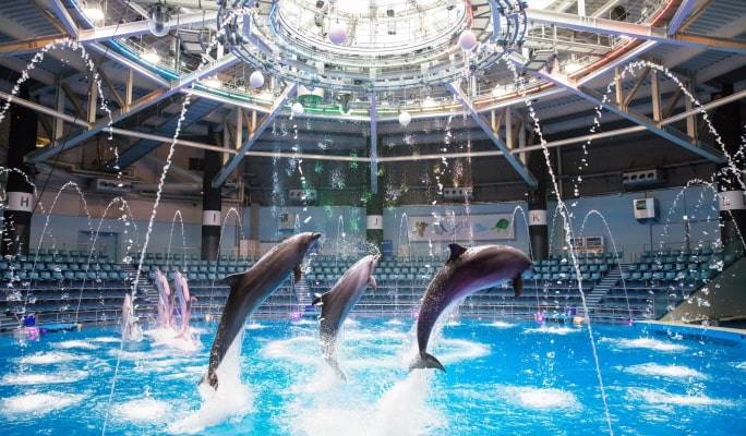 Tokyo Maxell Aqua Park Shinagawa Admission Ticket