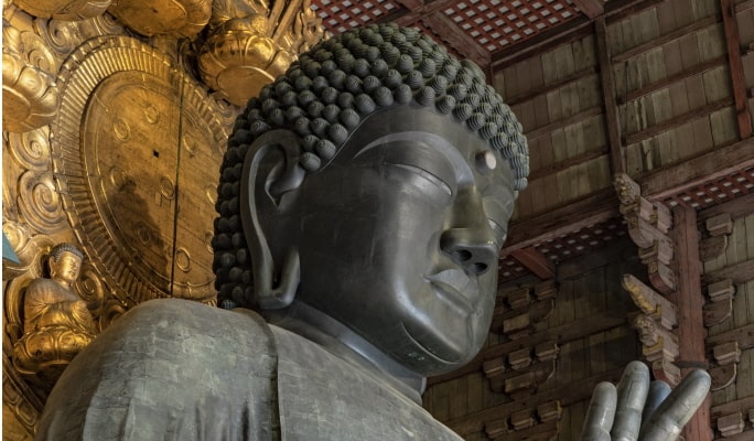 Nara Park Tour - English Guided Sightseeing Bus