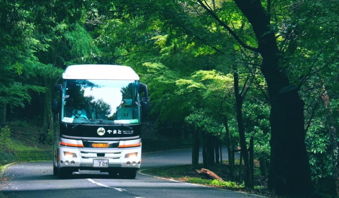 Nara Park Tour - English Guided Sightseeing Bus