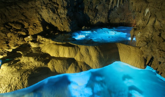 Okinawa Regular Sightseeing Bus: Shuri Castle & Okinawa World Course