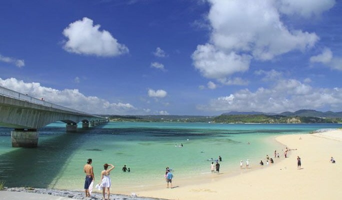 Okinawa Regular Sightseeing Bus: Kouri Island/ Nakijin Castle/ Churaumi Course