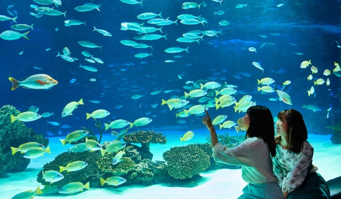 Tokyo Sunshine Aquarium Ticket