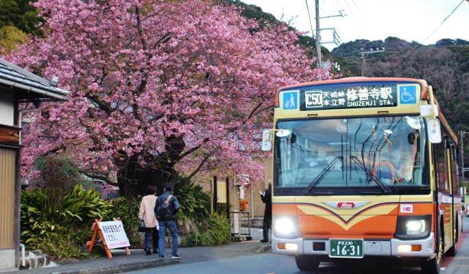 Tokai Bus Unlimited Ride Pass - All Routes Pass & Atami Pass