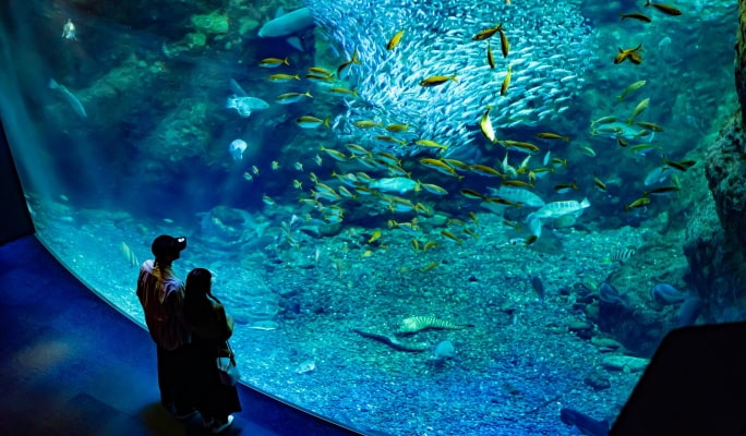 Enoshima Aquarium Admission Ticket