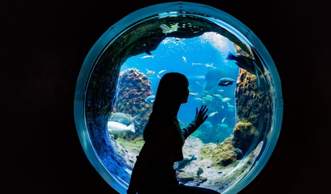 Enoshima Aquarium Admission Ticket