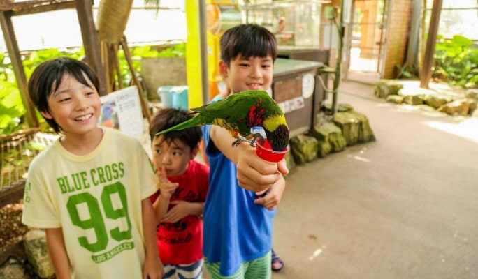 OKINAWA Fruits Land Admission ticket