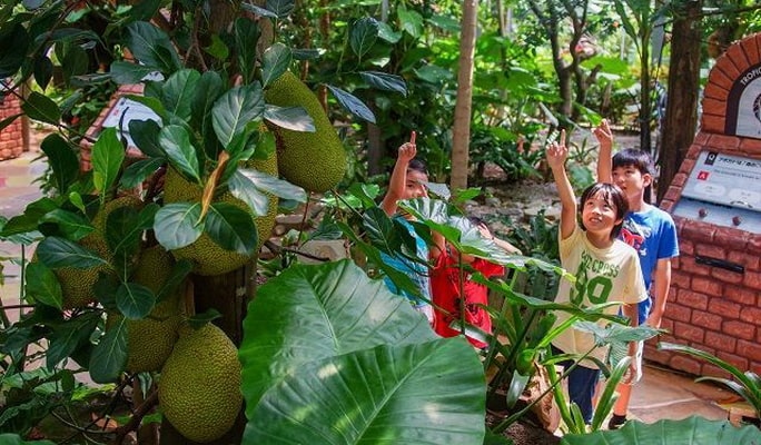 OKINAWA Fruits Land Admission ticket