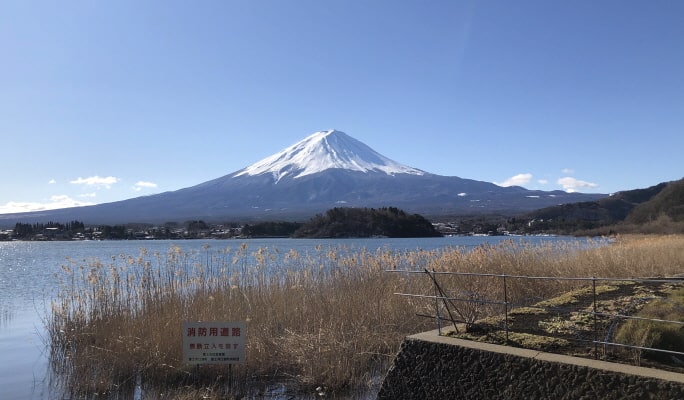 Mt. Fuji + Sake Tasting 1-Day Tour from Tokyo