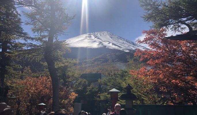 Mt. Fuji + Sake Tasting 1-Day Tour from Tokyo