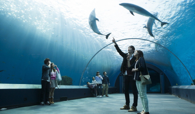 Yokohama Hakkeijima Sea Paradise 1-Day Pass