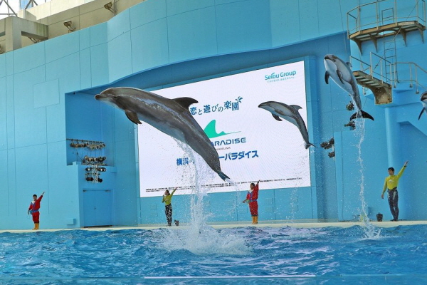 Yokohama Hakkeijima Sea Paradise 1-Day Pass