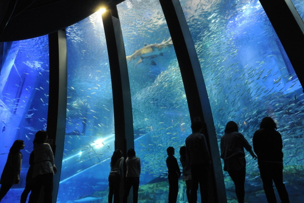 Yokohama Hakkeijima Sea Paradise 1-Day Pass
