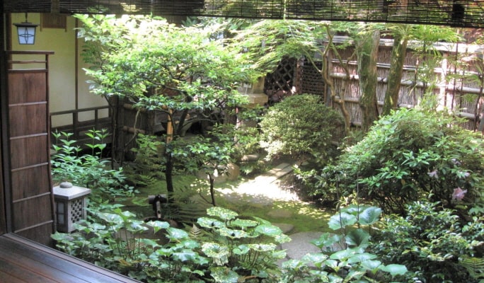 Kyoto Experience Package: Traditional Townhouse Tour & Kimono Try-on  & Tea Ceremony