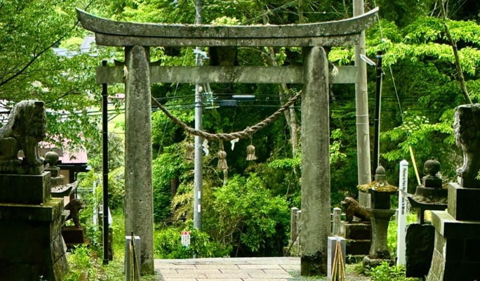 Miyazaki  Kamishikimi Kumanoza Shrine & Takachiho Gorge 1 Day Tour from Fukuoka