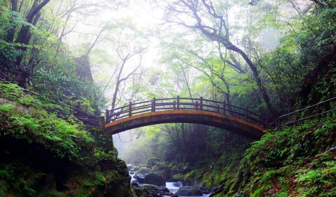 Miyazaki  Kamishikimi Kumanoza Shrine & Takachiho Gorge 1 Day Tour from Fukuoka