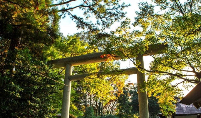 Miyazaki  Kamishikimi Kumanoza Shrine & Takachiho Gorge 1 Day Tour from Fukuoka