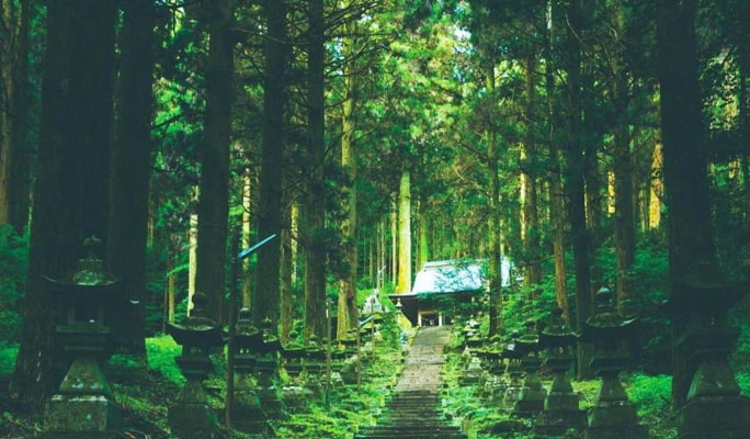 Miyazaki  Kamishikimi Kumanoza Shrine & Takachiho Gorge 1 Day Tour from Fukuoka