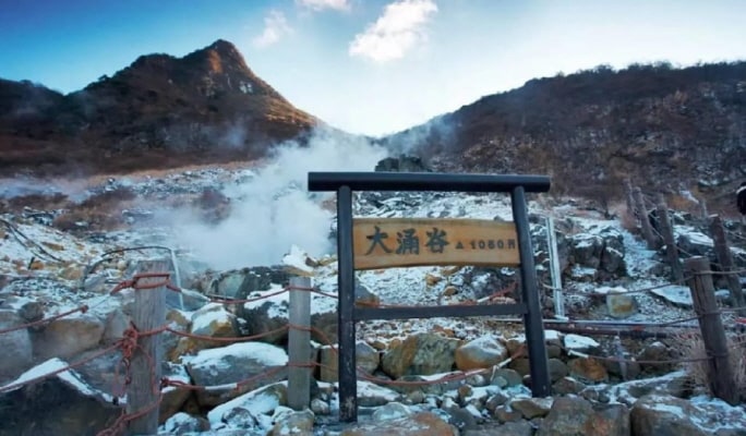 Mt.Fuji & Hakone Ropeway & Owakudani 1 Day Tour from Tokyo