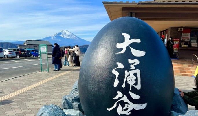 Mt.Fuji & Hakone Ropeway & Owakudani 1 Day Tour from Tokyo