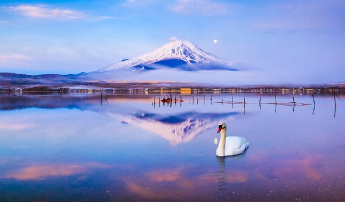 Mt.Fuji & Hakone Ropeway & Owakudani 1 Day Tour from Tokyo