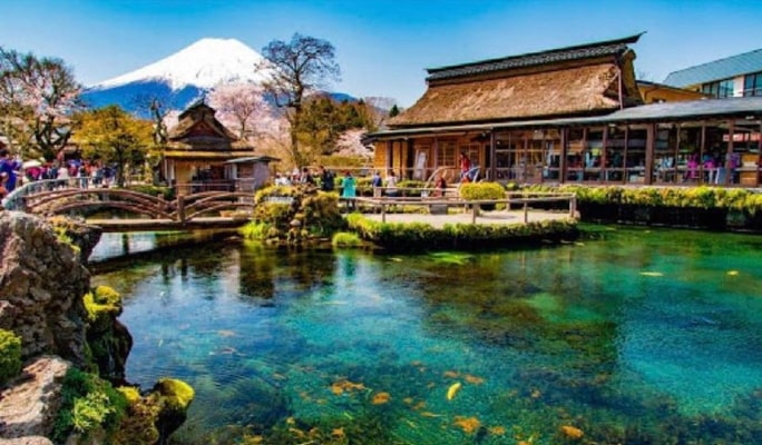 Mt.Fuji & Hakone Ropeway & Owakudani 1 Day Tour from Tokyo