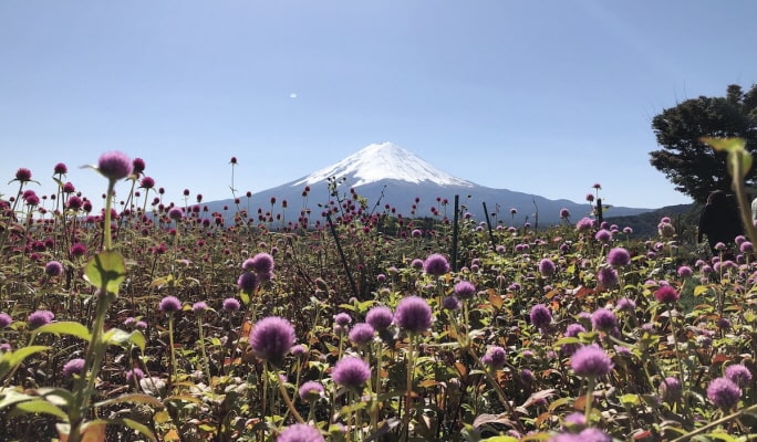 Mt. Fuji & Lake Kawaguchi 1-Day Tour From Tokyo