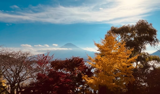 Mt. Fuji Panoramic View & Outlet/ Onsen  1-Day Tour from Tokyo