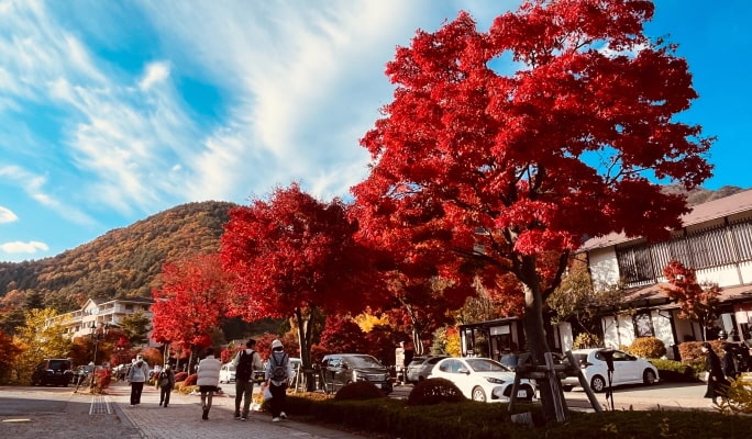 Mt. Fuji Panoramic View & Outlet/ Onsen  1-Day Tour from Tokyo