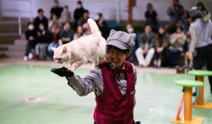 Tochigi Nasu Animal Kingdom Entrance Ticket